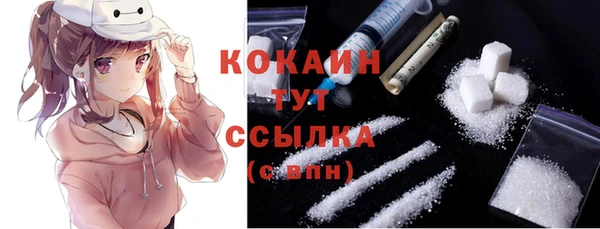 спайс Гусев