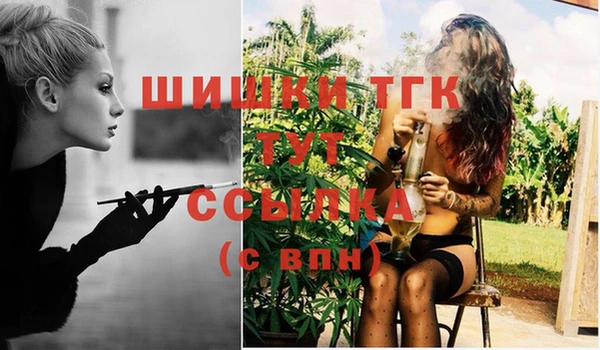 молекула духа Горнозаводск