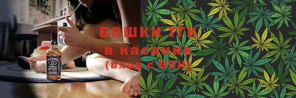 молекула духа Горнозаводск