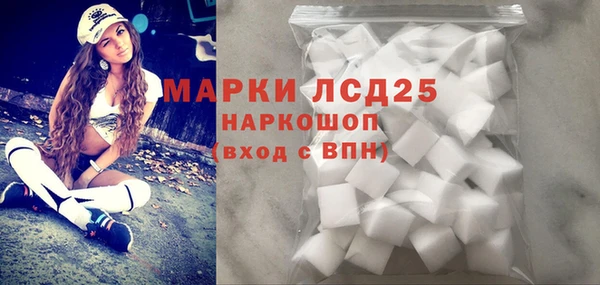 молекула духа Горнозаводск