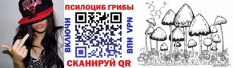 Галлюциногенные грибы Cubensis  omg сайт  Звенигород  магазин продажи наркотиков 